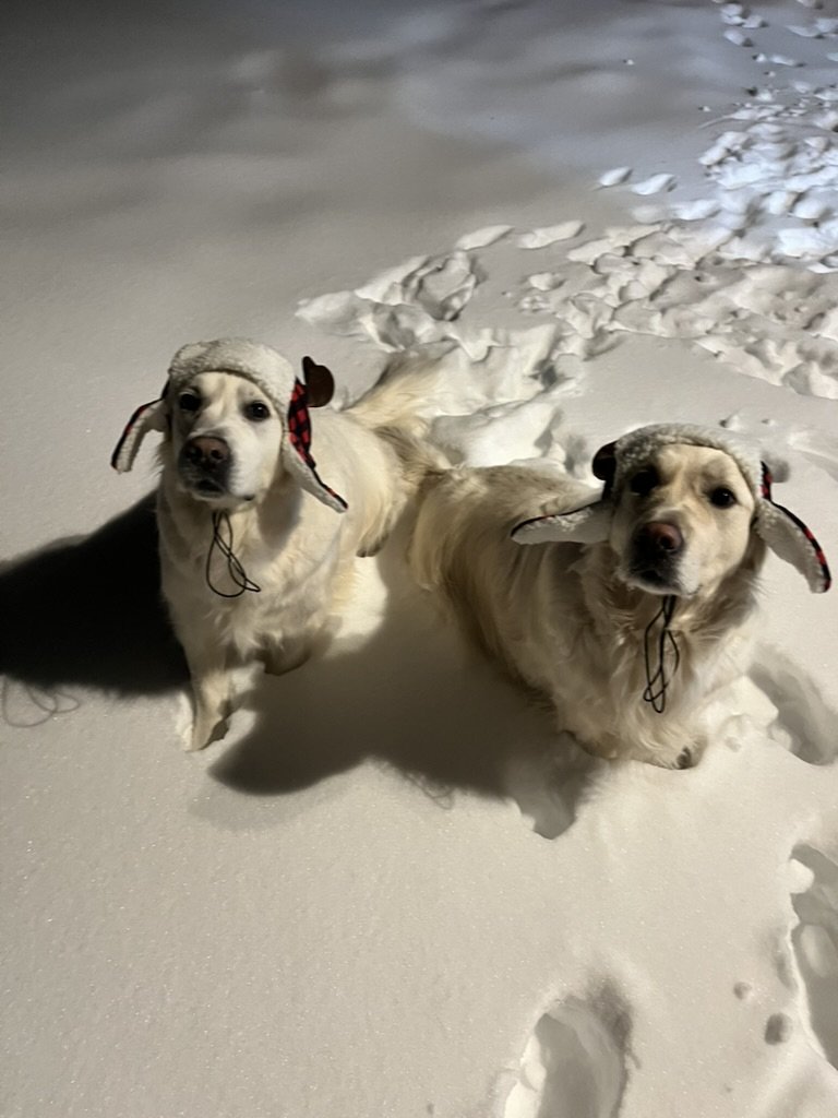 Sawyer and Theo sitting in the snow at night wearing their antler hats