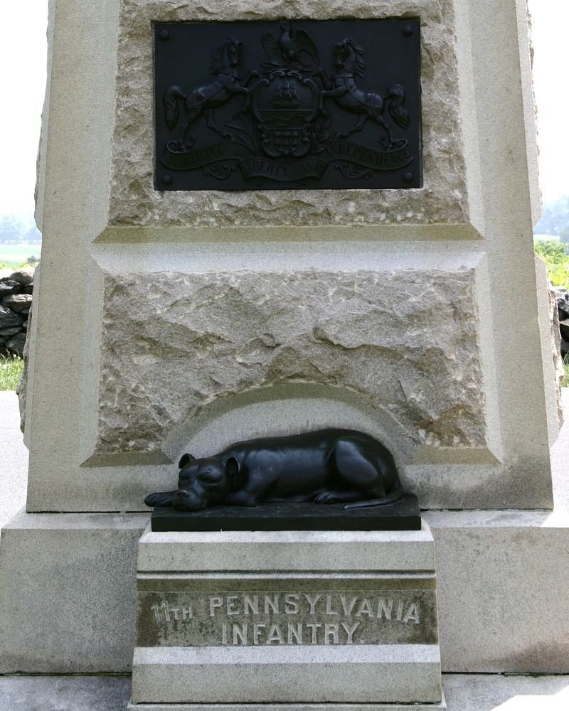 Sallie, 11th Pennsylvania Infantry